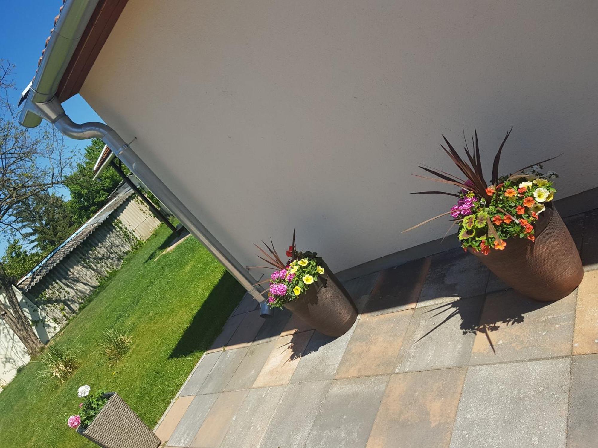 Ferienwohnung Lilien Deluxe Gyula Exterior foto